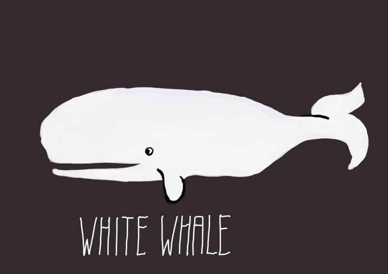 a white whale against a black background